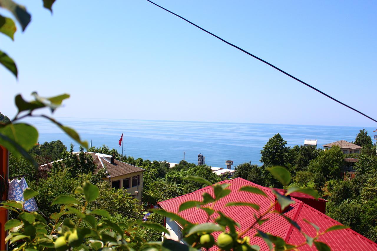 Guest House Lazika Sarpi Luaran gambar